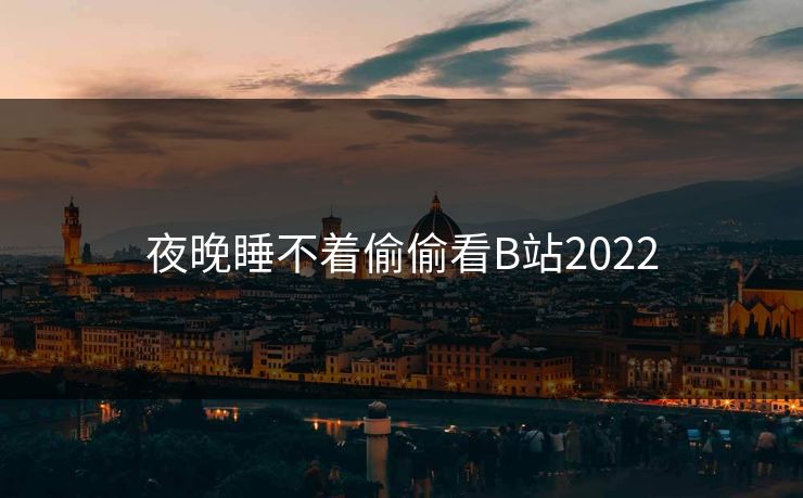 夜晚睡不着偷偷看B站2022 夜晚睡不着偷偷看B站2022