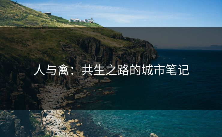 人与禽:共生之路的城市笔记 人与禽:共生之路的城市笔记